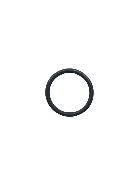 N02789 Bauer Compressors Discharge Valve ORing OEM Bauer Compressors Maintenance Parts High